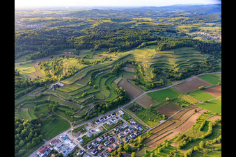 Luftbild von Terassierte Weinberge in Malterdingen im Bundesland Baden-Württemberg, Deutschland
