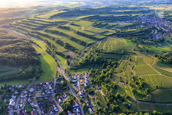 Terassierte Weinberge im Ortsteil Bombach in Kenzingen im Bundesland Baden-Württemberg, Deutschland