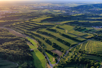 Luftbild von Terassierte Weinberge im Ortsteil Bombach in Kenzingen im Bundesland Baden-Württemberg, Deutschland