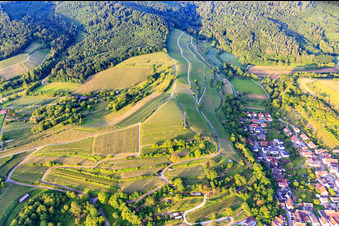 Mobilfunkmast auf dem Weinberg im Ortsteil Bombach in Kenzingen im Bundesland Baden-Württemberg, Deutschland