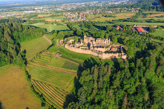 Festungsruine Hochburg bei Emmendingen aus Osten im Ortsteil Windenreute im Bundesland Baden-Württemberg, Deutschland