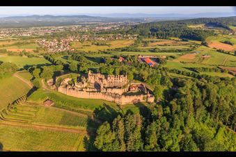 Luftbild von Festungsruine Hochburg bei Emmendingen aus Osten im Ortsteil Windenreute im Bundesland Baden-Württemberg, Deutschland