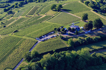 Aussichtsrestaurant Heubergturm / zum Heuberg auf dem Weinberg in Ettenheim im Bundesland Baden-Württemberg, Deutschland