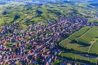 Luftbild von Ortsansicht aus Norden in Eichstetten am Kaiserstuhl im Bundesland Baden-Württemberg, Deutschland