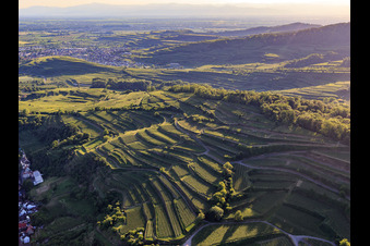 Ihringen/Wasenweiler