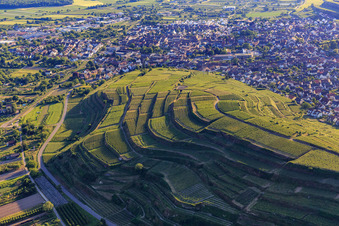 Luftbild von Terassierte Weinberge im südlichen Kaiserstuhl im Ortsteil Wasenweiler in Ihringen im Bundesland Baden-Württemberg, Deutschland