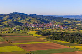 Winzerdorf am Kaiserstuhl aus Süden in Ihringen im Bundesland Baden-Württemberg, Deutschland