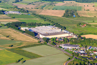 Badischer Winzerkeller eG in Breisach am Rhein im Bundesland Baden-Württemberg, Deutschland
