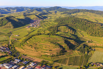 Luftbild von Weinberge am Kaiserstuhl von Westen im Ortsteil Achkarren in Vogtsburg im Kaiserstuhl im Bundesland Baden-Württemberg, Deutschland