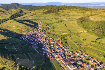 Winzerdorf im Kaiserstuhl aus Westen im Ortsteil Achkarren in Vogtsburg im Kaiserstuhl im Bundesland Baden-Württemberg, Deutschland