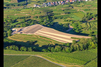 Vogtsburg/Bickensohl