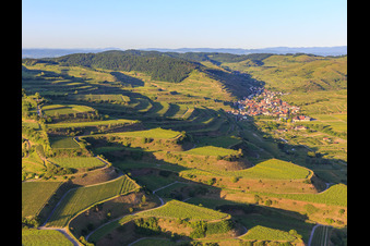 Terassierte Weinberge im Kaiserstuhl aus Westen im Ortsteil Oberrotweil in Vogtsburg im Kaiserstuhl im Bundesland Baden-Württemberg, Deutschland