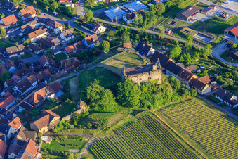 Ruine des Schloss Burkheim über dem Weinberg in Vogtsburg im Kaiserstuhl im Bundesland Baden-Württemberg, Deutschland