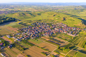 Dorfübersicht aus Süden im Ortsteil Jechtingen in Sasbach am Kaiserstuhl im Bundesland Baden-Württemberg, Deutschland
