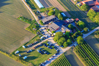 Restaurant Gerhart's Strauße im Ortsteil Jechtingen in Sasbach am Kaiserstuhl im Bundesland Baden-Württemberg, Deutschland