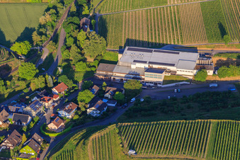 Jechtinger Weinmanufaktur eG im Ortsteil Jechtingen in Sasbach am Kaiserstuhl im Bundesland Baden-Württemberg, Deutschland