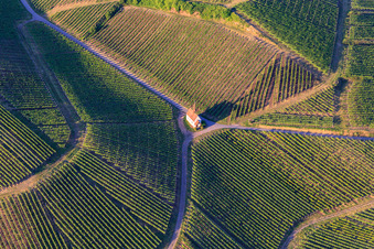 Eichert Kapelle inmitten der Weinberge im Ortsteil Jechtingen in Sasbach am Kaiserstuhl im Bundesland Baden-Württemberg, Deutschland