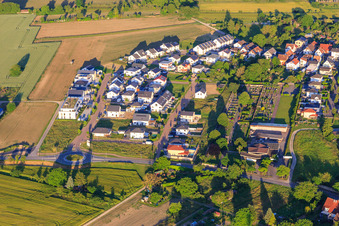 Luftbild von Neubaugebiet Wellinger Straße in Wyhl am Kaiserstuhl im Bundesland Baden-Württemberg, Deutschland