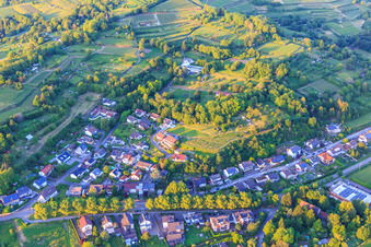 Im Häldele in Kippenheim im Bundesland Baden-Württemberg, Deutschland
