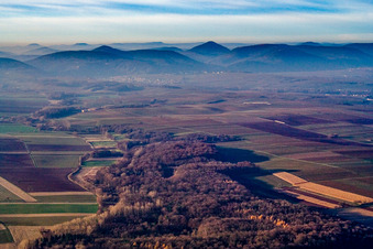 Horbachtal bis Haardtrand im Ortsteil Gleiszellen in Gleiszellen-Gleishorbach im Bundesland Rheinland-Pfalz, Deutschland