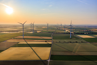 Windpark Offenbach der Fa. Pfalzwind von Westen am Morgen in Offenbach an der Queich im Bundesland Rheinland-Pfalz, Deutschland