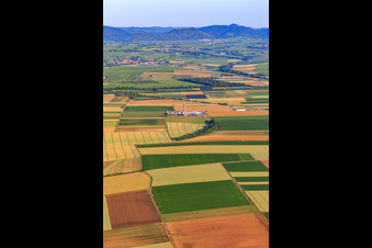 Bohrgelände des Tiefenbohrplatz V20 von Vercana GmbH für Vulcan Energy am Schleidberg zur Förderung von Geothermie und Lithium in Insheim im Bundesland Rheinland-Pfalz, Deutschland aus der Drohnenperspektive