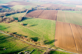 Luftbild von Kuhweide oberhalb der Schaidter Mühle in Freckenfeld im Bundesland Rheinland-Pfalz, Deutschland
