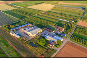 Bauers Garten in Winden im Bundesland Rheinland-Pfalz, Deutschland vom Flugzeug aus