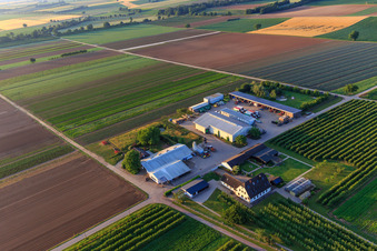 Bauers Garten in Winden im Bundesland Rheinland-Pfalz, Deutschland aus der Luft betrachtet