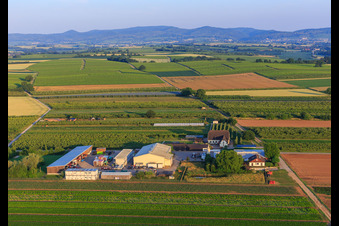 Drohnenaufname von Bauers Garten in Winden im Bundesland Rheinland-Pfalz, Deutschland