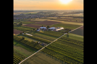 Bauers Garten in Winden im Bundesland Rheinland-Pfalz, Deutschland von einer Drohne aus