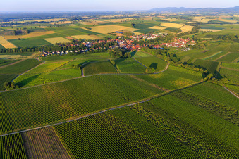 Dorfansicht am Morgen aus Nordosten in Dierbach im Bundesland Rheinland-Pfalz, Deutschland