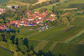 Dorfansicht am Morgen aus Norden mit Wohnmobilstellplatz des Weinhaus Geiger in Dierbach im Bundesland Rheinland-Pfalz, Deutschland