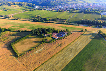 Schrägluftbild von Aussiedlerhof in Dörrenbach im Bundesland Rheinland-Pfalz, Deutschland