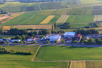 Gewerbegebiet Brückwiesenstraße mit  Philipp Öhl Kfz-Handwerk GmbH, Union Bauzentrum Hornbach BZA-Kapellen und  Naturmöbelhaus Heinrich in Kapellen-Drusweiler im Bundesland Rheinland-Pfalz, Deutschland