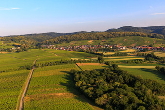 Luftbild von Weinort von Osten im Ortsteil Pleisweiler in Pleisweiler-Oberhofen im Bundesland Rheinland-Pfalz, Deutschland
