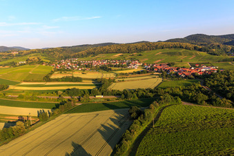 Weinort von Osten im Ortsteil Oberhofen in Pleisweiler-Oberhofen im Bundesland Rheinland-Pfalz, Deutschland