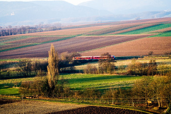 Regionalbahn im Ortsteil Drusweiler in Oberhausen im Bundesland Rheinland-Pfalz, Deutschland