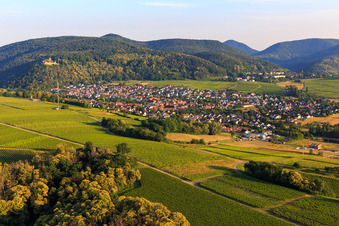 Weinort von Osten in Klingenmünster im Bundesland Rheinland-Pfalz, Deutschland