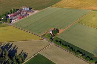 Marienkapelle in Bösingen im Bundesland Baden-Württemberg, Deutschland