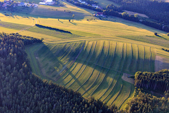 Luftbild von Gemähte Matten (Wiesen) im Schwarzwald am Abend in Niedereschach im Bundesland Baden-Württemberg, Deutschland