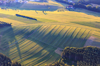 Luftaufnahme von Gemähte Matten (Wiesen) im Schwarzwald am Abend in Niedereschach im Bundesland Baden-Württemberg, Deutschland