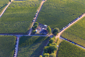 Weinfest an der Grillhütte Weinpanorama im Ortsteil Heuchelheim in Heuchelheim-Klingen im Bundesland Rheinland-Pfalz, Deutschland
