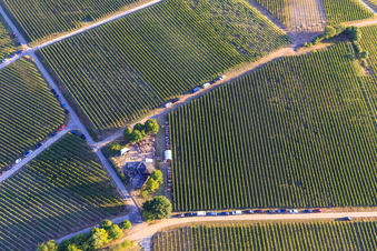 Luftbild von Weinfest an der Grillhütte Weinpanorama im Ortsteil Heuchelheim in Heuchelheim-Klingen im Bundesland Rheinland-Pfalz, Deutschland