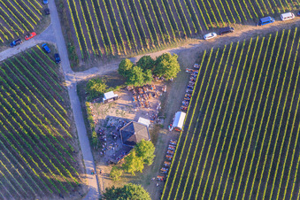 Luftaufnahme von Weinfest an der Grillhütte Weinpanorama im Ortsteil Heuchelheim in Heuchelheim-Klingen im Bundesland Rheinland-Pfalz, Deutschland