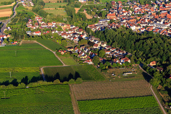 Wasgaustraße Vogesenstr im Ortsteil Ingenheim in Billigheim-Ingenheim im Bundesland Rheinland-Pfalz, Deutschland