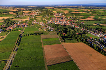 Dorfansicht aus Westen im Ortsteil Ingenheim in Billigheim-Ingenheim im Bundesland Rheinland-Pfalz, Deutschland