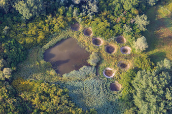 Naturschutzgebiet Réserve biologique dirigée de Lauterbourg im Bundesland Bas-Rhin, Frankreich
