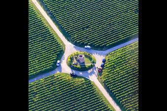 Houschder Winzerturm zwischen den Weinbergen im Ortsteil Niederhochstadt in Hochstadt im Bundesland Rheinland-Pfalz, Deutschland