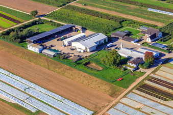 Bauers Garten in Winden im Bundesland Rheinland-Pfalz, Deutschland vom Flugzeug aus